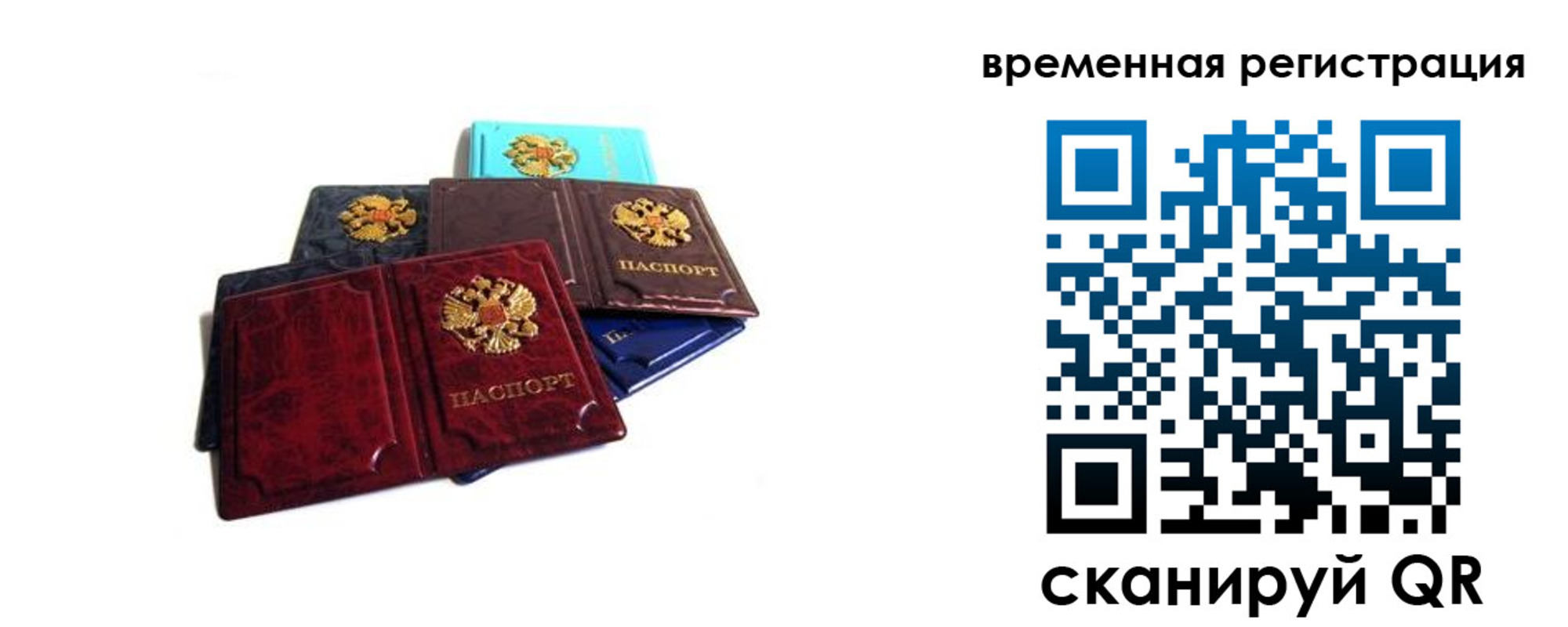 прописка гарантия в Курске
